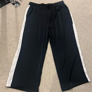 Nina Parker pants 3x